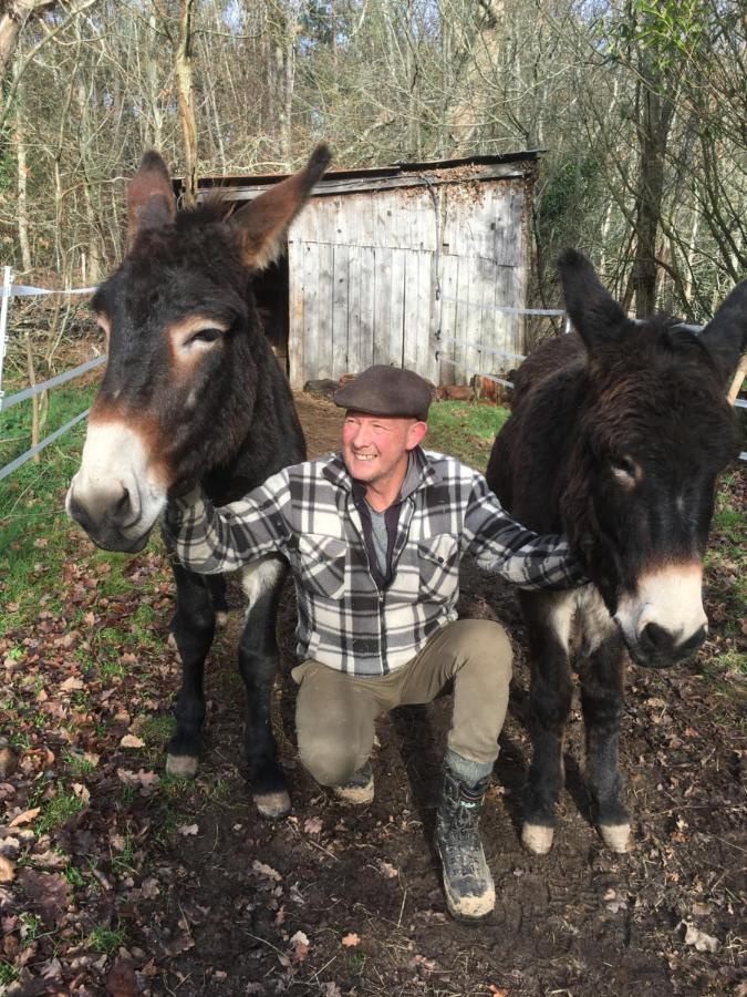 The Llama Farm France Saint-Cyr-Les-Champagnes ภายนอก รูปภาพ