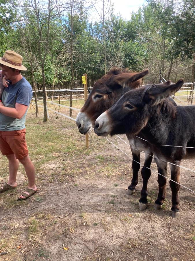 The Llama Farm France Saint-Cyr-Les-Champagnes ภายนอก รูปภาพ