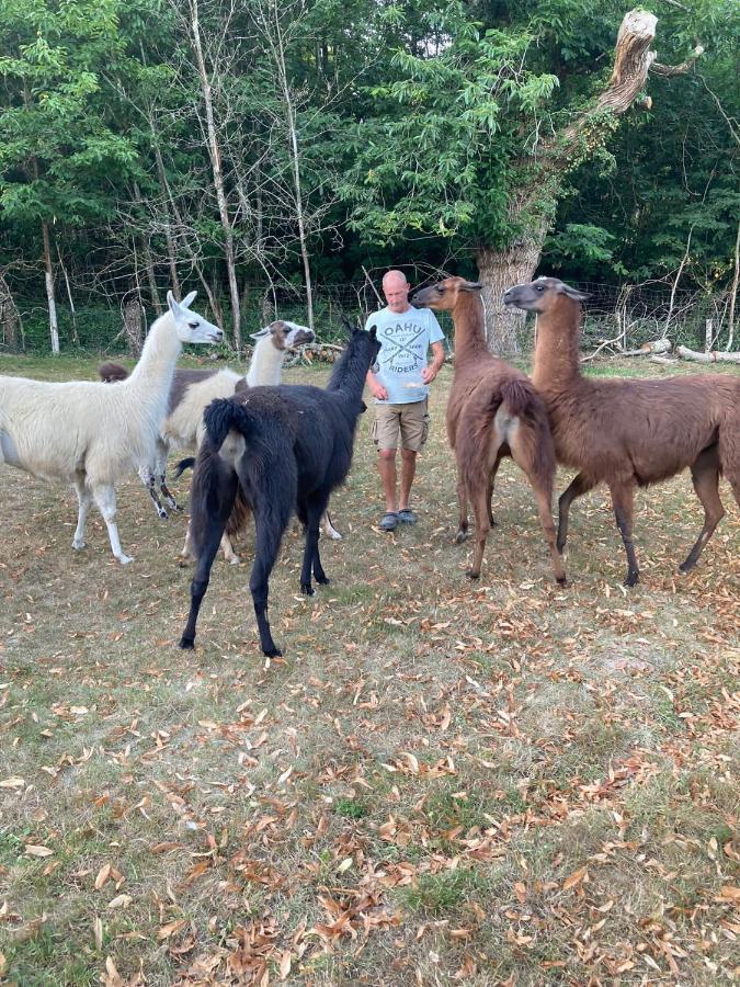 The Llama Farm France Saint-Cyr-Les-Champagnes ภายนอก รูปภาพ