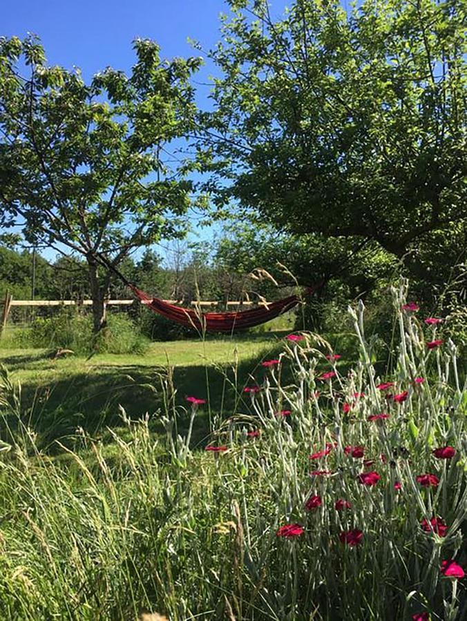 The Llama Farm France Saint-Cyr-Les-Champagnes ภายนอก รูปภาพ