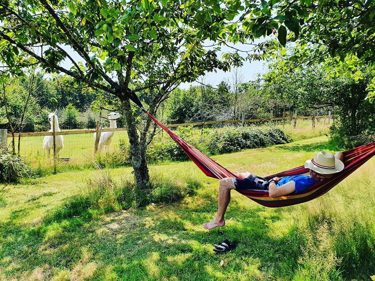 The Llama Farm France Saint-Cyr-Les-Champagnes ภายนอก รูปภาพ