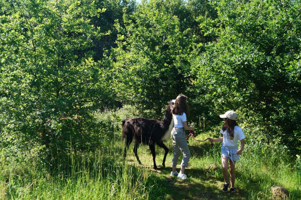 The Llama Farm France Saint-Cyr-Les-Champagnes ภายนอก รูปภาพ