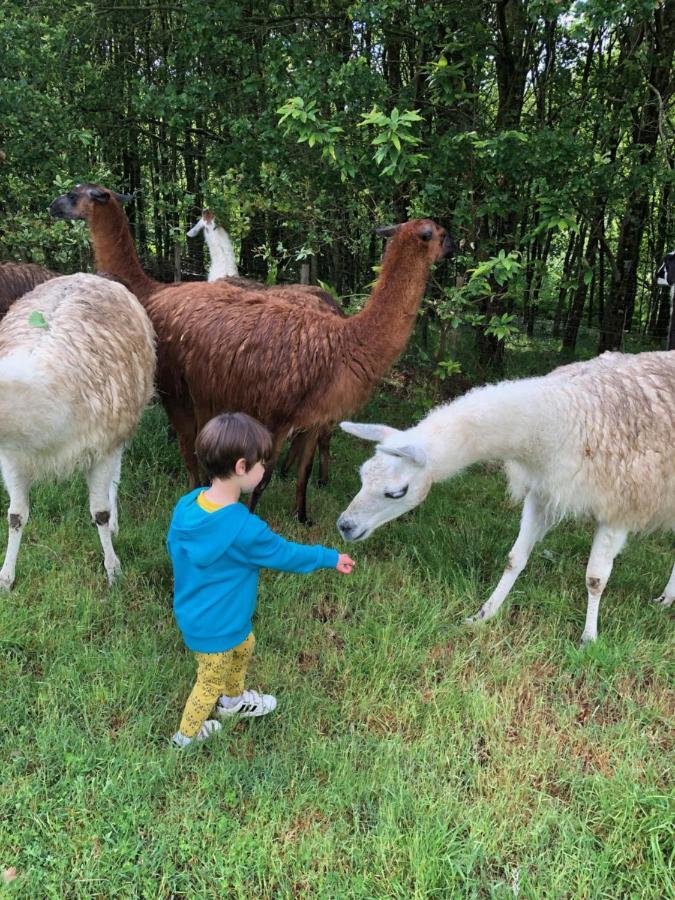 The Llama Farm France Saint-Cyr-Les-Champagnes ภายนอก รูปภาพ