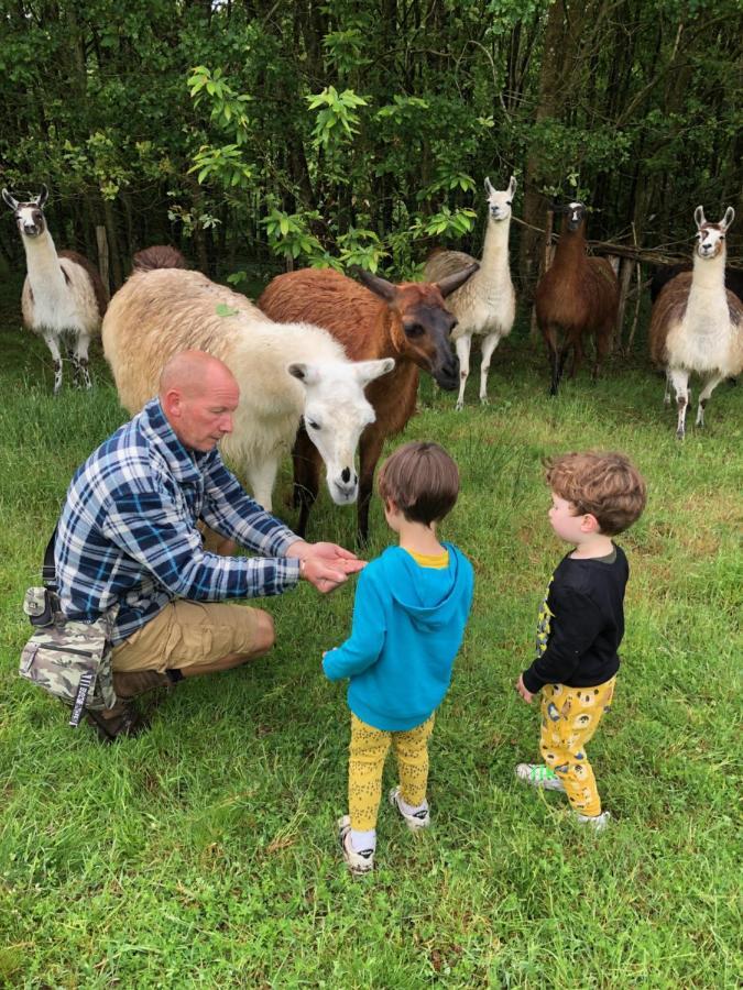 The Llama Farm France Saint-Cyr-Les-Champagnes ภายนอก รูปภาพ