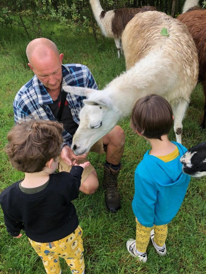The Llama Farm France Saint-Cyr-Les-Champagnes ภายนอก รูปภาพ