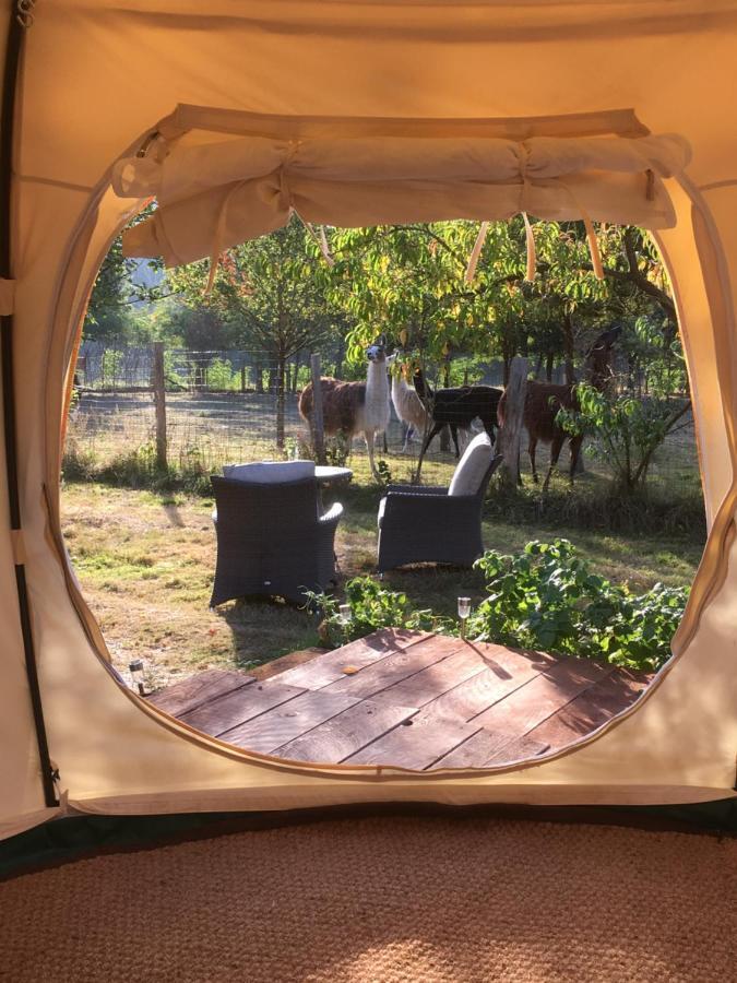 The Llama Farm France Saint-Cyr-Les-Champagnes ภายนอก รูปภาพ